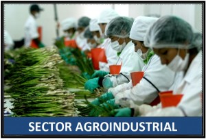 agroindustria