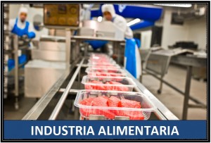 INDUSTRIA ALIMENTARIA